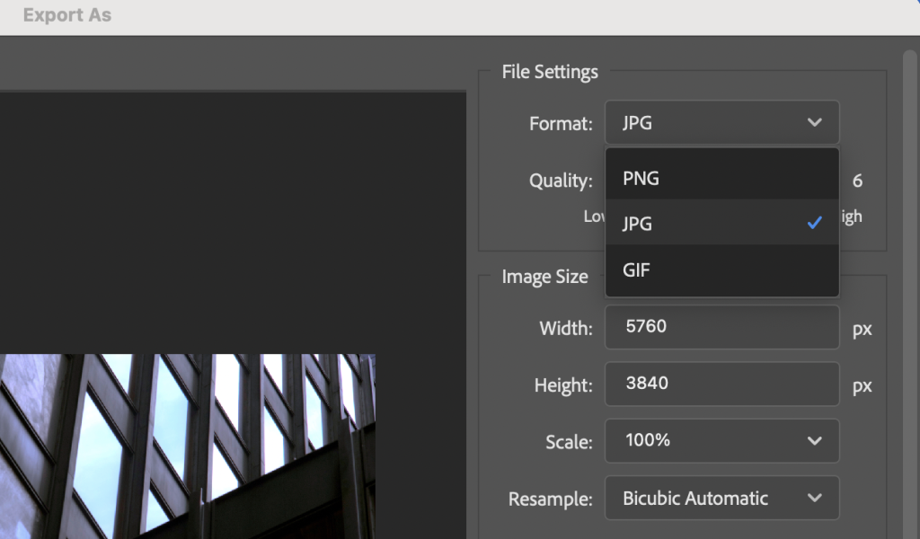 Screen capture showing how to set the Format for the optimized image.